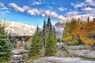 Wonderful Mountain Stream Landscape Hdr Wallpapers