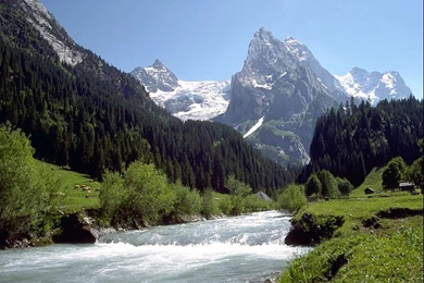 My Free Wallpapers   Nature Wallpapers : Mountain Stream