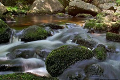 Gentle Mountain Stream At Padley Gorge   Desktop Backgrounds ...