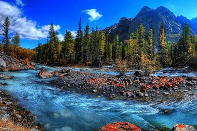 Fresh Water Stream Mountain Rapid Running 2560x1440 Hd Wallpapers ...