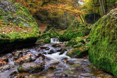 Wonderful Mountain Stream In Autumn   (