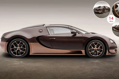 2014 Bugatti Veyron "Rembrandt Bugatti"   Side