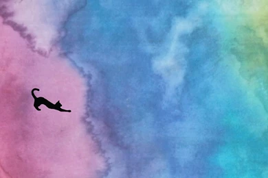 Flick Dot Buzz . Com   Stuff For Cats And Cat Lovers   Computer ...