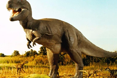 Dinosaur New HD Wallpapers 2013