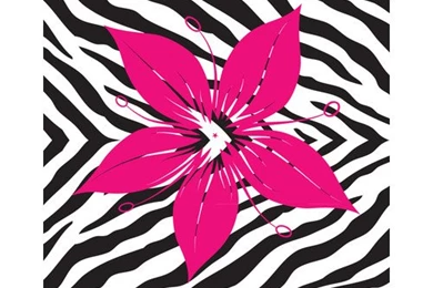 Zebra Print Wallpapers Decor