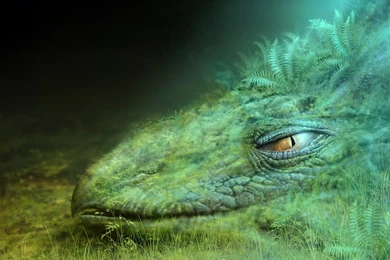 Fine Art HD Wallpapers 1920x1080 (124)   Hebus.org   High ...