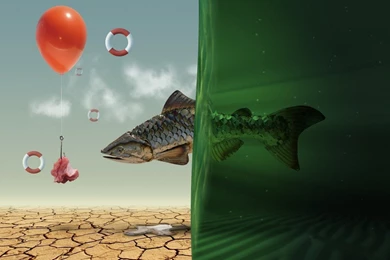 Mac Wallpapers 7 1920x1200 Os HD Wallpapers & Backgrounds 1600x10