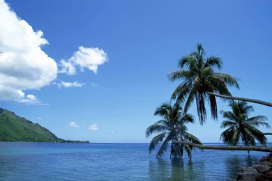 Desktop Wallpapers Download Free   Wallpapers Zone