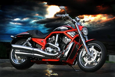 HD Harley Davidson Free Wallpaper: Bestscreenwallpaper.com   Logo ...