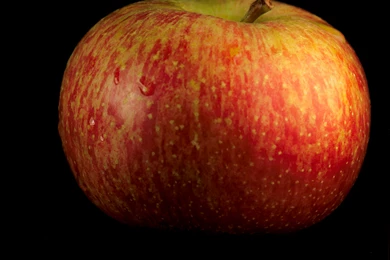 File:Fuji Apple In A Black Backgrounds 02.jpg   Wikimedia Commons