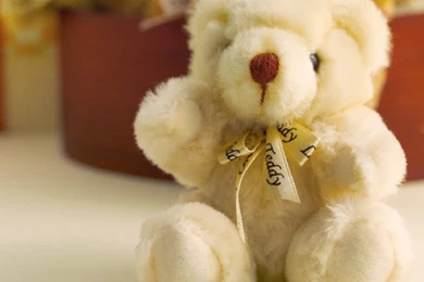 New Nature Screensaver: Free Teddy Bear Screensaver