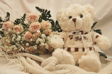 Teddy Bear Hd Image   Free Hd Wallpapers