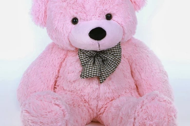 Pink Teddy Bear HD Wallpapers Free Download ~ 1
