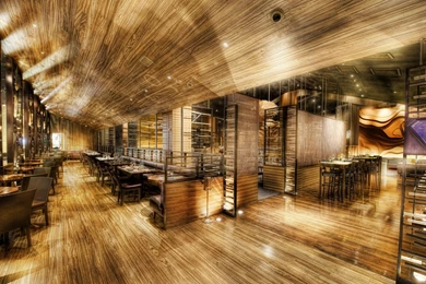 Photography   Page 105