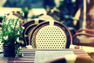 City, Outside Restaurant, Vase, Morning, London, Chair, Photo ...
