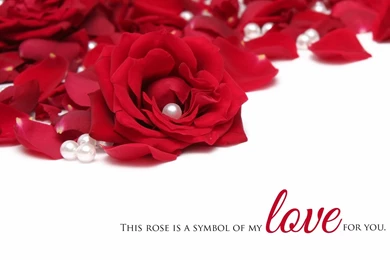 HD Wallpapers: Love And Romentic HD Wallpapers, Images, Pictures ...