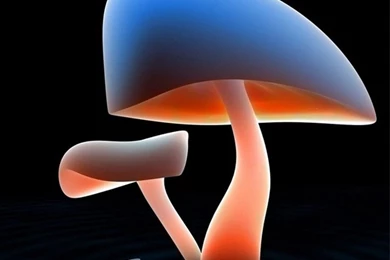 HP 7 Harry Potter Iphone 4 Wallpapers 640x960 Hd Wallpapers For ...