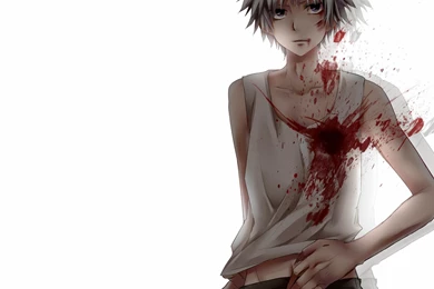 Zoldyck Hunter X Hunter N03 HD Wallpapers