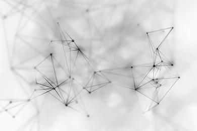 White Wallpapers 33f   HD Wallpapers