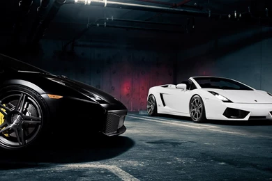 Lamborghini Cars Wallpapers   Wallpapers Cave