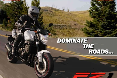 Yamaha FZ1 Wallpapers   Bikes4Sale