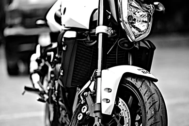 Story Of My Fizzy Monster   The Yamaha FZ1   Team BHP