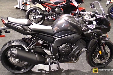 2015 Yamaha FZ1   Image