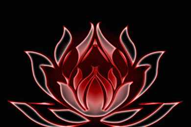 Neon Widescreen Wallpapers HQ 1440x900   Photo 48 Of 51