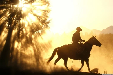 Trail Blazer HD Desktop Wallpapers : Widescreen : High Definition ...