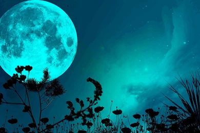 The Blue Moon HD Wallpapers