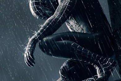 The Pictures For > Black Spiderman Iphone Wallpapers