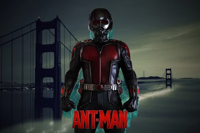 Ant Man Wallpapers