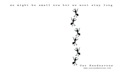 Non Nude Wallpaper, Ant