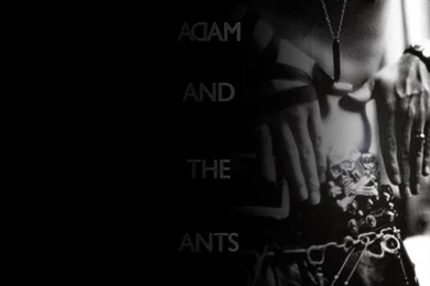 Adam Ant Adam Ant Wallpapers (2065361) Fanpop