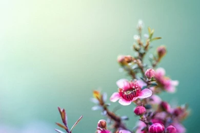 630x560px 47.81 KB New Wallpapers