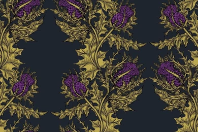 Todd Henricks Designs