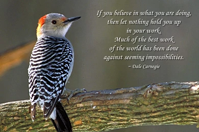 MLM Training India, MLM Training India Blog, Online MLM News Blog ...