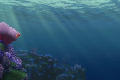 HD Picture  Finding Nemo (
