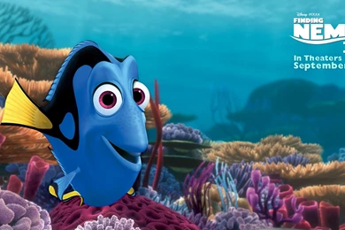 Dory Finding Nemo 3D Movie HD Desktop Wallpapers   1920x1080 ...
