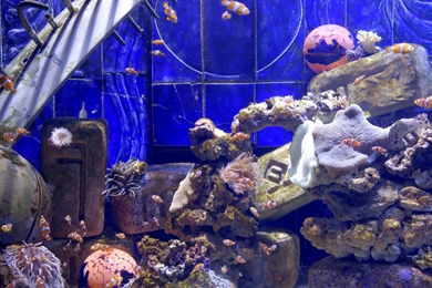 Uscenes HD Wallpapers