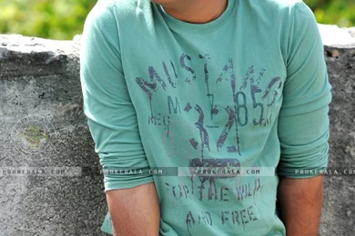 Pavan Kalyan Gabbar Singh Stills And Wallpapers