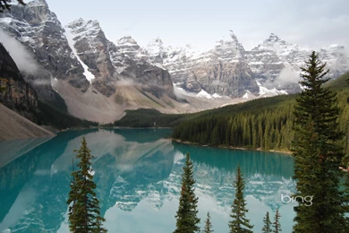 Bing Wallpapers As Desktop Backgrounds Image Gallery   Photonesta