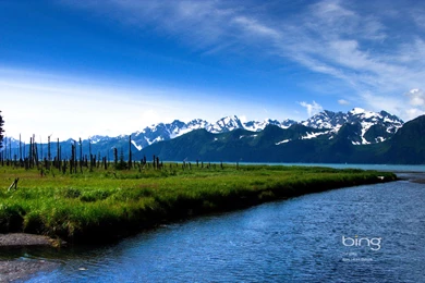 Bing Backgrounds Free Wallpapers Wallpapers   HD Wallpapers 84304