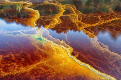 Bing Daily Wallpapers   Wallpapers Zone