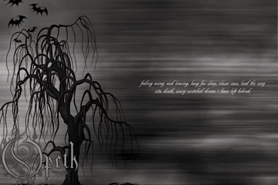 Browsing Wallpapers On DeviantArt