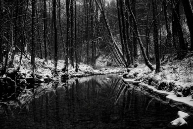 Backgrounds Black And White Wallpapers   220493