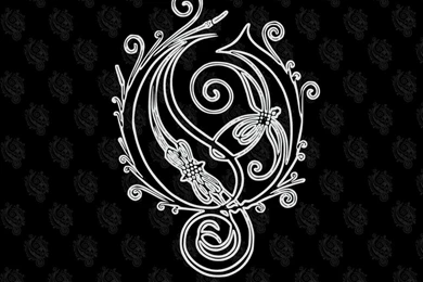 1024x768px Woody Woodpecker