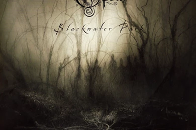 Opeth   Blackwater Park [Vinyl]   Amazon.com Music