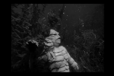 Creature From The Black Lagoon – Jack Arnold – 1954