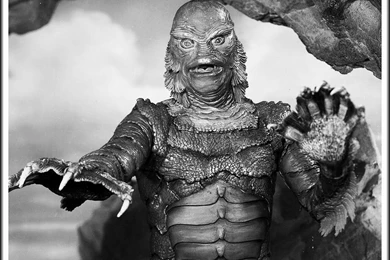 14 Quality Creature From The Black Lagoon Wallpapers, TV & Movies